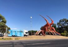 Accessible services for rural towns