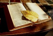 Christian Comment: Who is the greatest?