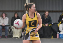 Tigers eye off silverware