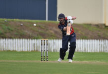 Bulldogs bite worse than bark