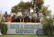 Campdraft winners