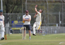 Tigers take it up to Demons