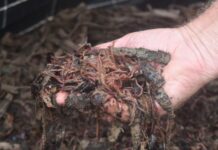 Worm farm subsidised