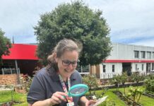 What’s on at the Mount Gambier Library