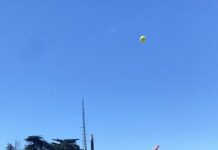 Cricket tests Southern Ports Tennis