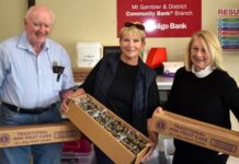 Lions put in hundreds of hours serving the community