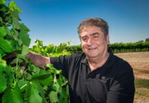 Certification for Brands Laira