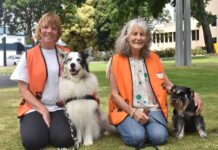 New additions to the Story Dog team