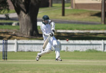 Tigers stumble in run chase