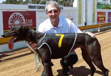 A great companion to the end