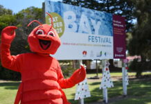 Bay Festival early bird tickets