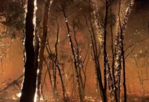 Firies head over the border