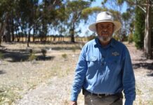 Future looks green for Greenrise Recreational Reserve