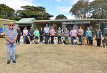 Dog trial preparation