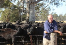 Tatiara backs calls for mining vulnerability assessment