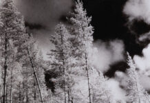 Double exhibition opening for Riddoch