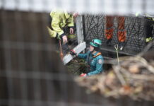 Man rescued from Cave Gardens