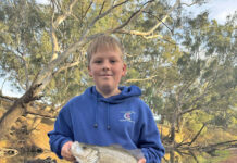 Breezy conditions off coast