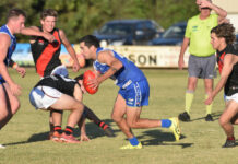 Eagles take flight at home