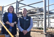 Saleyards big point in budget