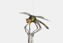 Exhibition opens at Riddoch