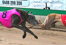 A day of doubles and a shock Tara Tipster result