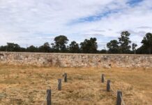 Family tragedy reminder of mushroom dangers