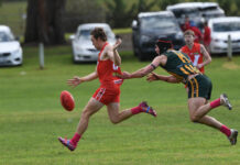 Mozzies keep their hope alive