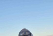 Conditions improve and anglers cash in