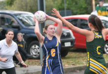 Eagles hold off determined Mozzies