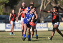 Cats out to impress again