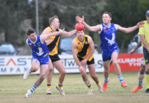 Eagles take off at home