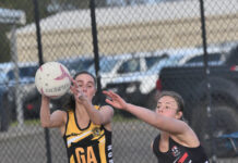 Tigers remain undefeated