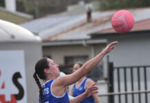 Cats prevail in low-scoring contest