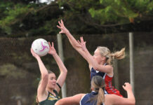 Demons break free of Mozzies