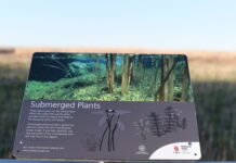 Bool Lagoon water low