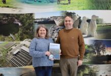 New plan for consultation