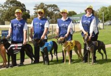 Mount Gambier joins the Yellow Cap Campaign