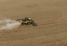 Grain measure unchanged