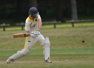 Tigers in a good spot