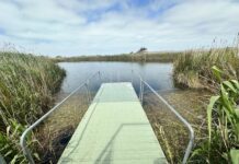 Snorkelers head back to the water
