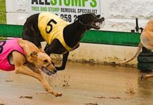 Leading trainers chasing further memorial success