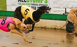 Leading trainers chasing further memorial success