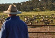 Virtual fencing reality