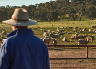 Virtual fencing reality