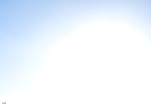 Community feedback guides future engagement