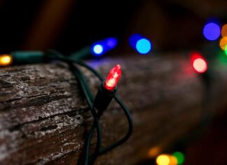 2025 Limestone Coast Christmas Lights