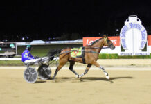 Becoming a doubles king