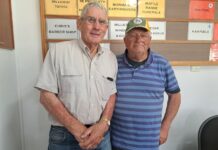 Pleasant day for bowls