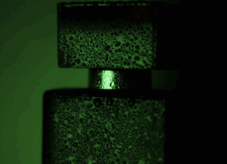 Affordable Fragrance Trends Australian Beauty Fans Can’t Get Enough Of